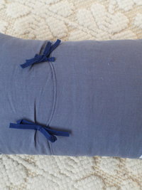 Wild Blueberry Barren Throw Pillow