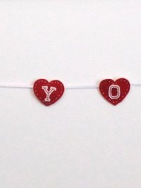 Valentine Heart Garland DIY Sewing Kit 