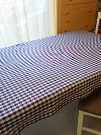 Hand Embroidered Gingham Tablecloth