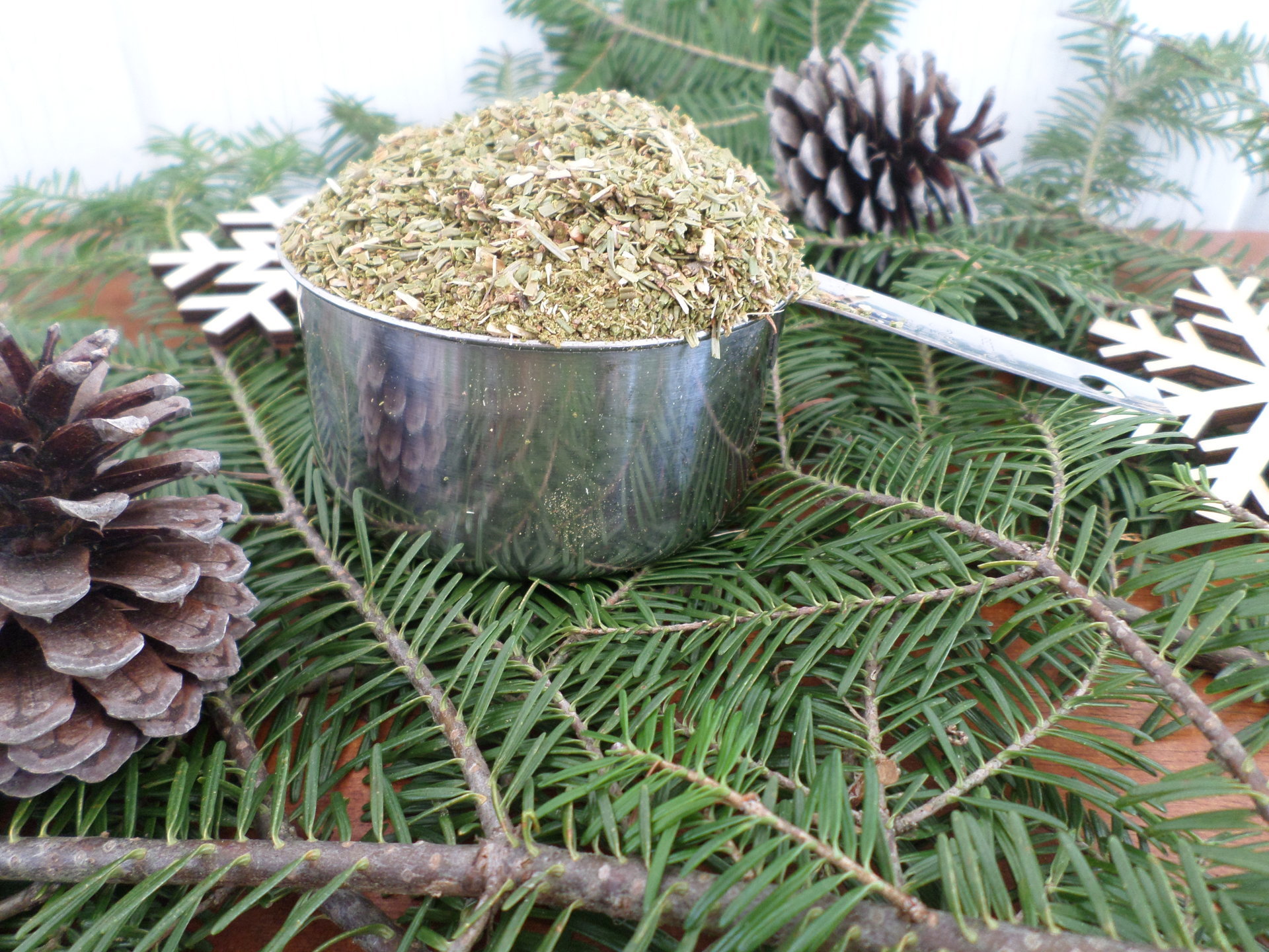 Dried Maine Balsam Fir 