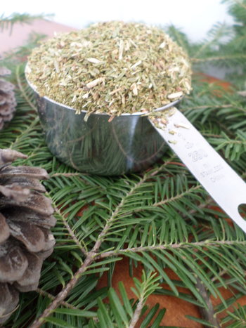 Dried Maine Balsam Fir 